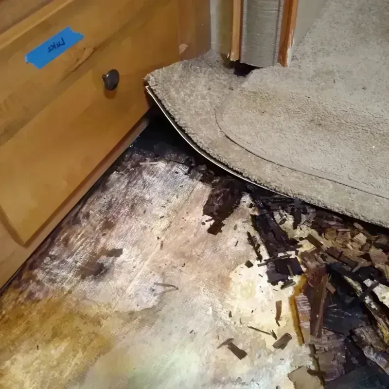 Best Wood Floor Water Damage Service in Clare, MI